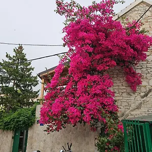 Apartment Franicevic, Split